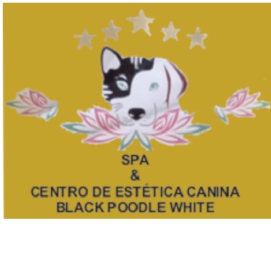 SPA e Black Poodle White -  Centro de Estética Canina